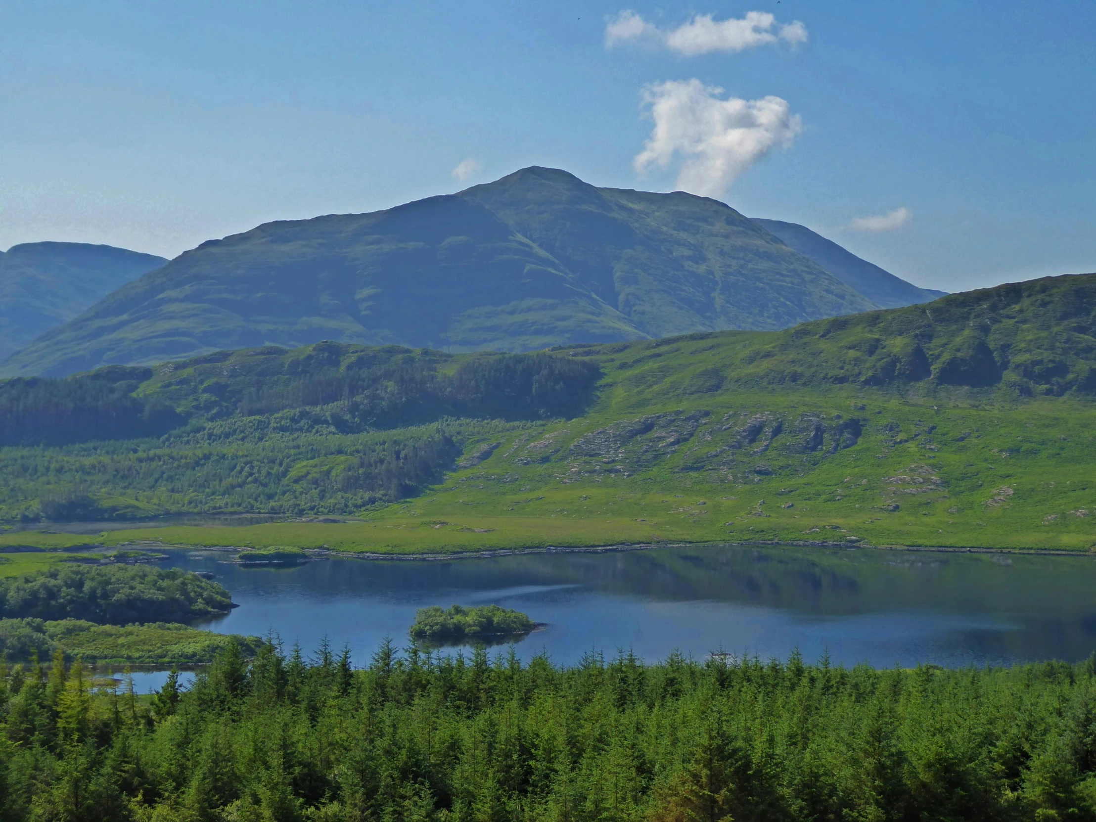 there is a mountain side with a pond and trees