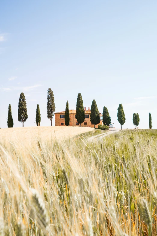 a large field that has a building in it