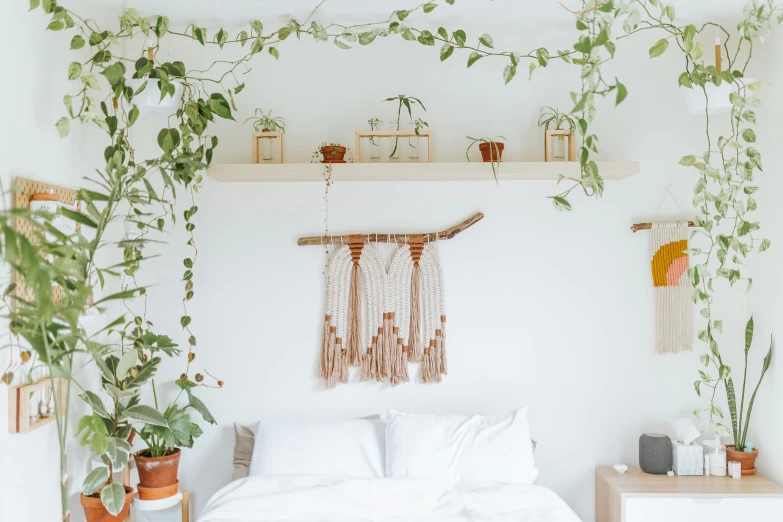 a white bed room with a large window and plants on the wall