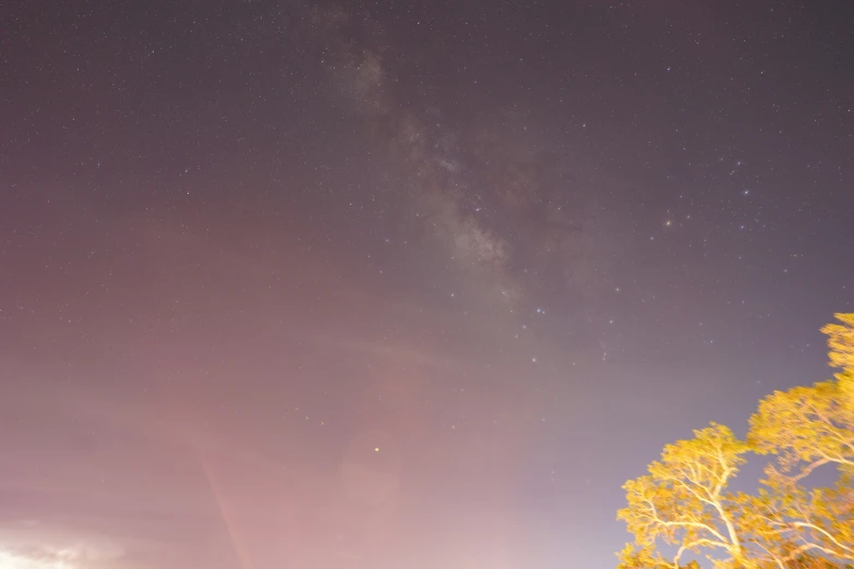 stars above trees and cloudy skies at night