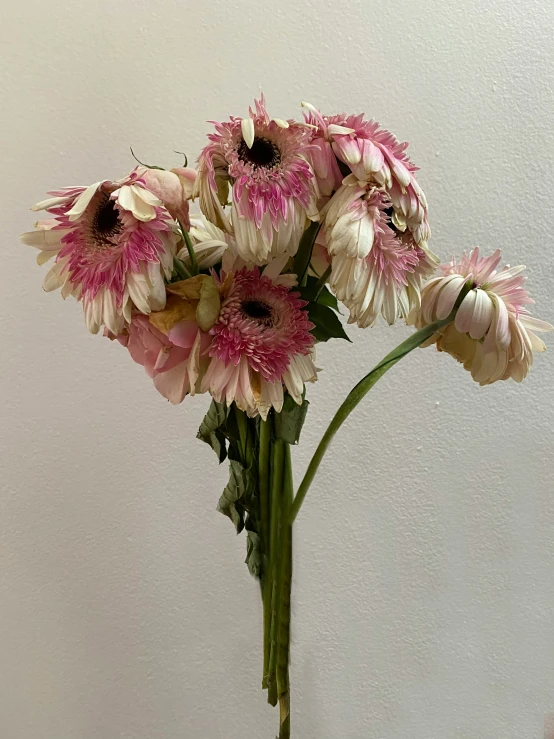 the large bouquet of pink flowers has long stems