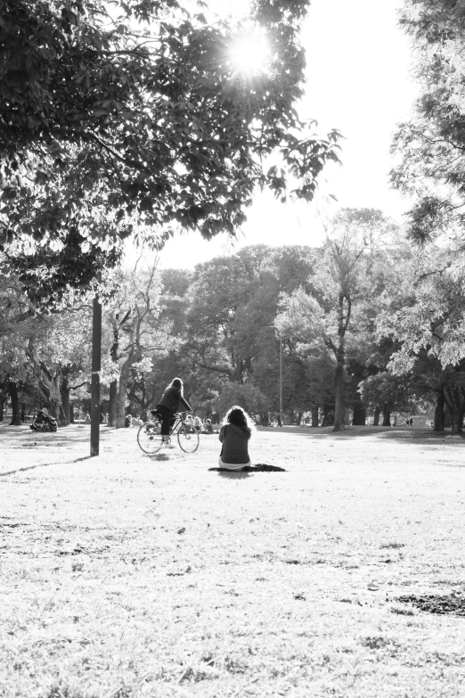 a person is sitting on the ground next to a tree