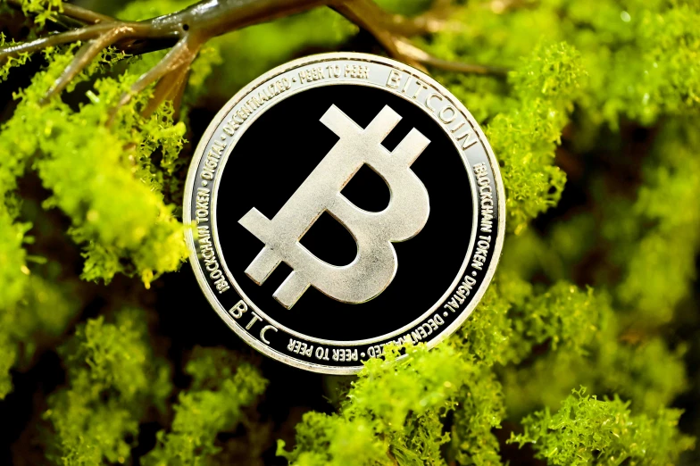 the sign on a tree shows that bitcoin is now being paid
