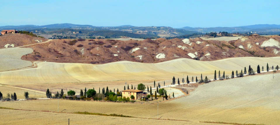 the rolling hills are dotted with cypress trees