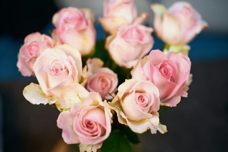 many small pink roses in a square vase