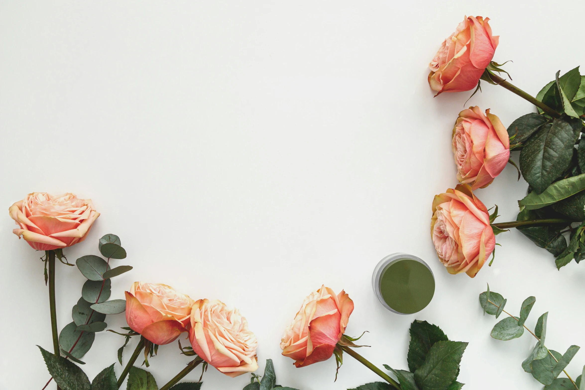 several peach roses and green foliage against white wall