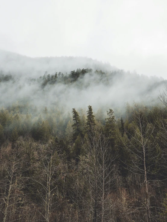 a large mountain that is covered in fog