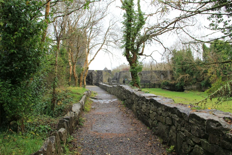 an old pathway between trees on either side of the road