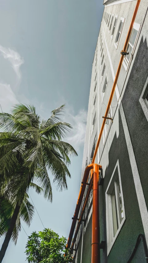 a tall building with a large tree in front of it