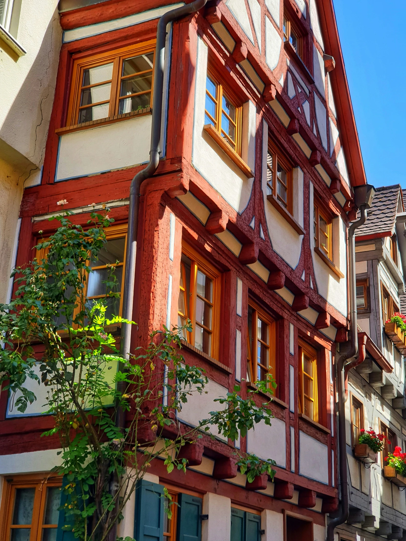 a building with some planters near by