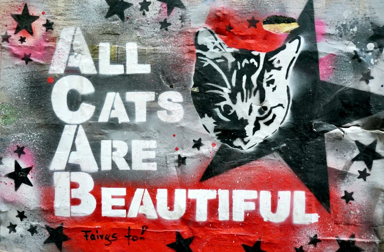 a wall with a cat that reads all cats are beautiful