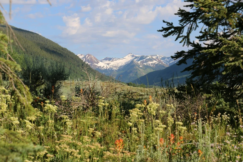 the scenery with snow capped mountains is very scenic