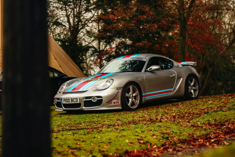 a car parked next to another in a forest