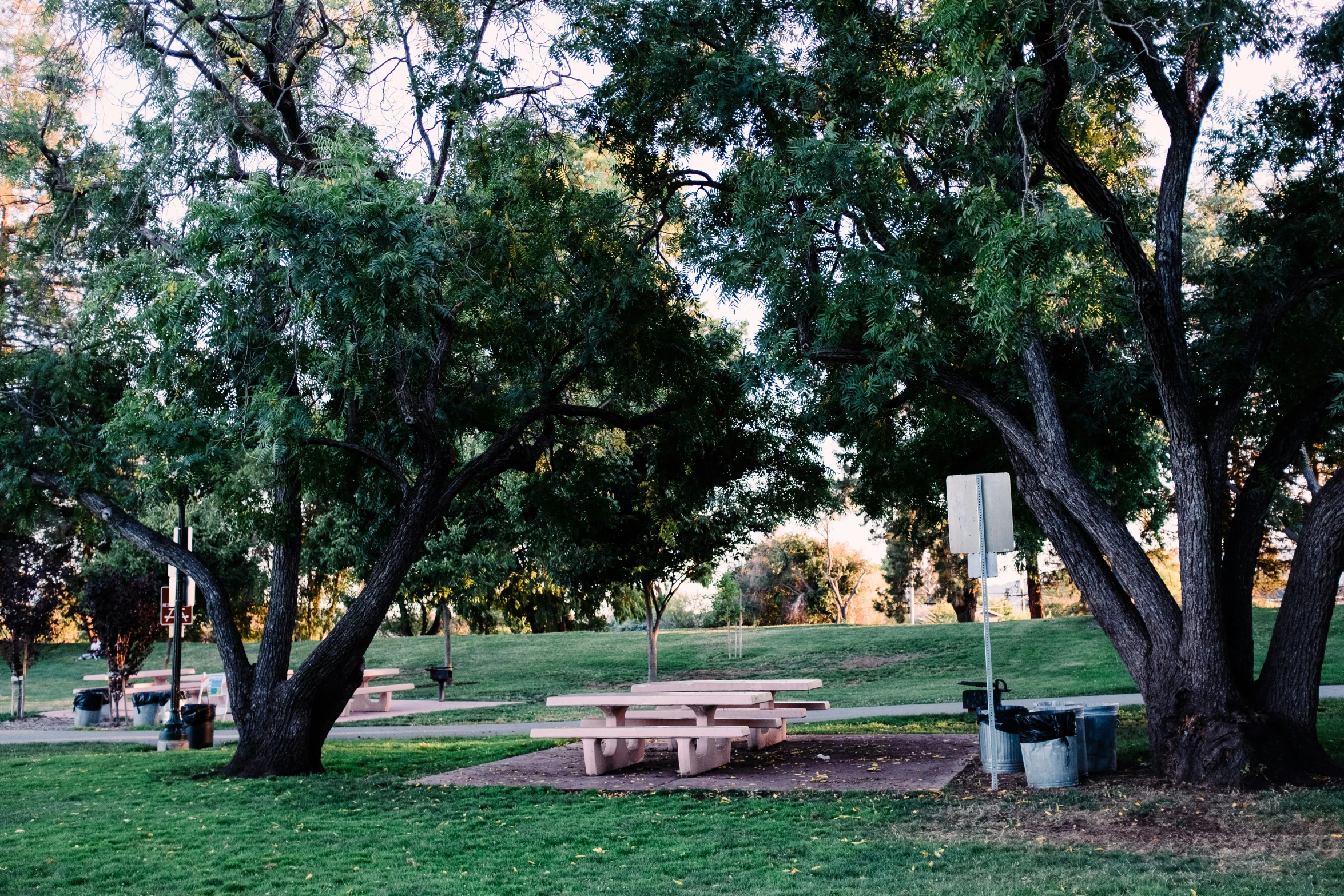 two picnic tables under two trees in a park