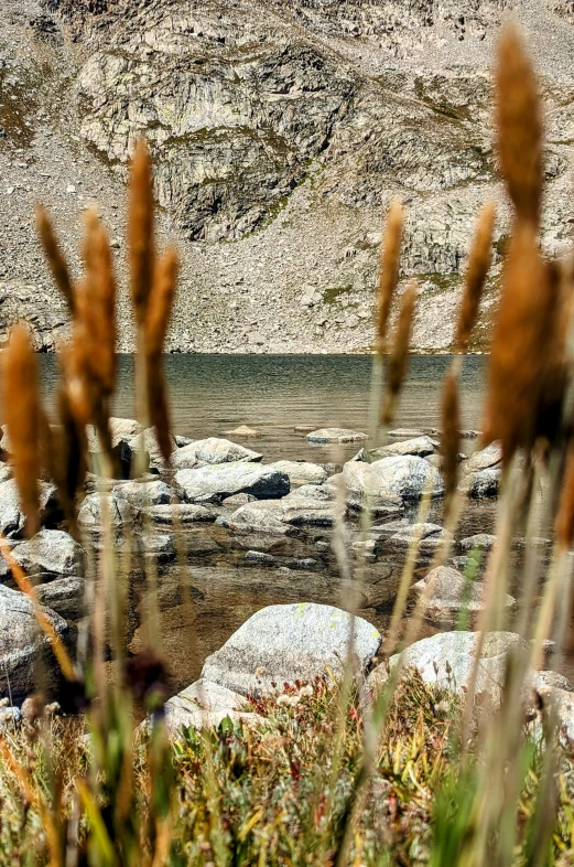 water and rocks near some grass and sand