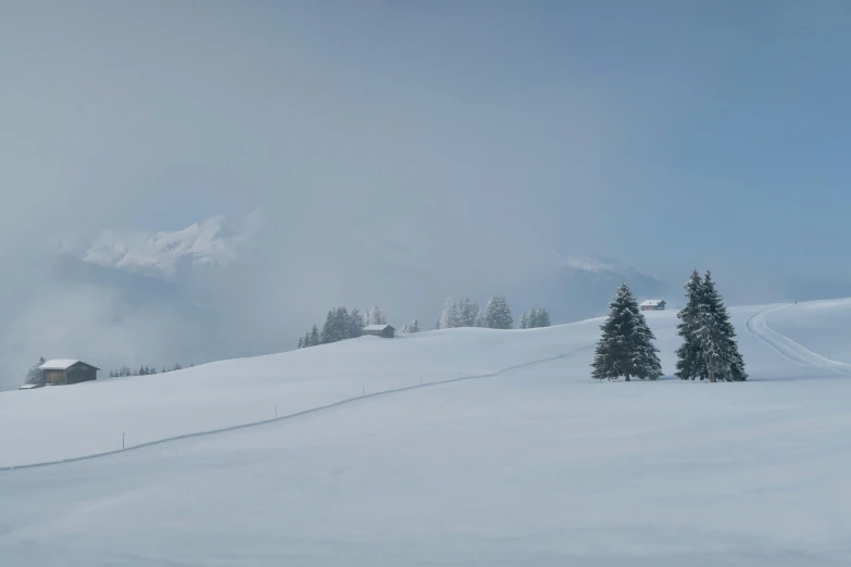 a po of snow covered mountains with trees