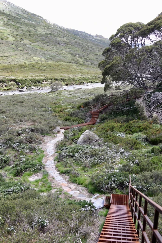 an old wooden path crossing a stream through the grass