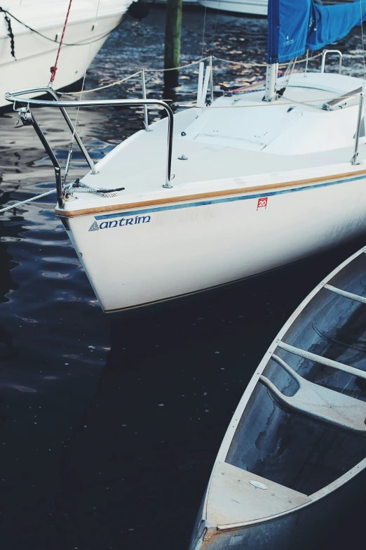 several boats are docked in the marina