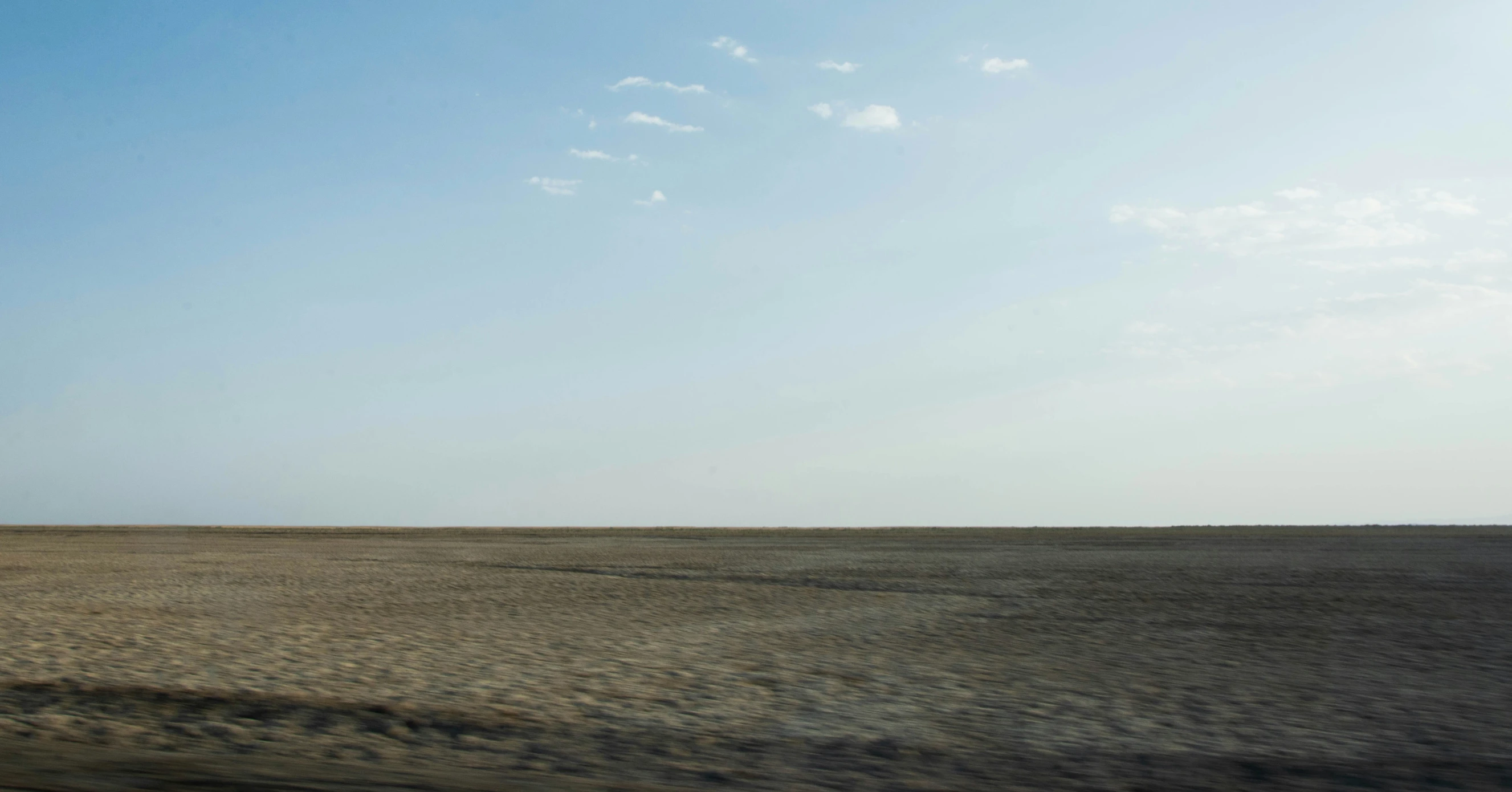 a lone tree in the middle of an empty desert