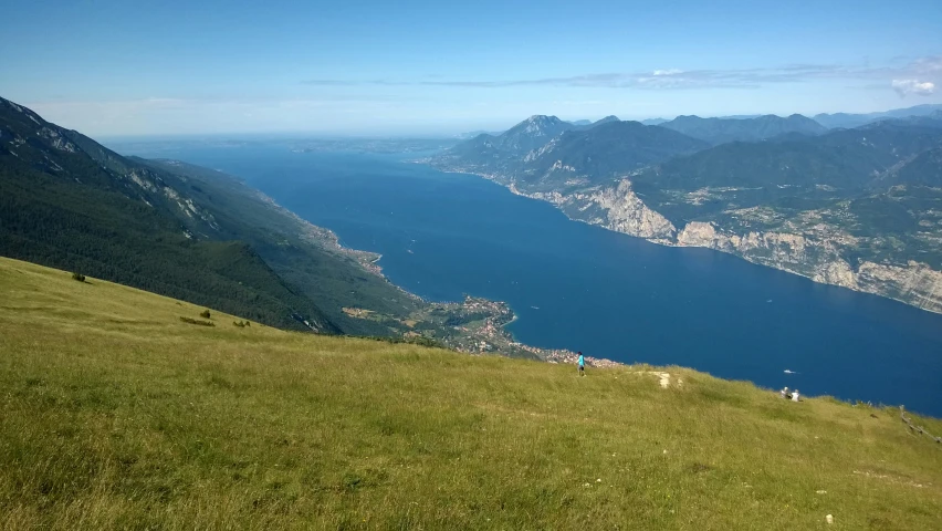 a sheep that is laying down on a hill