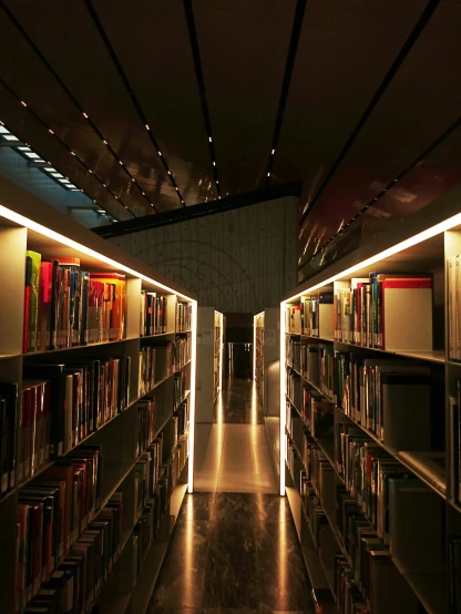 an empty liry with many books on shelves
