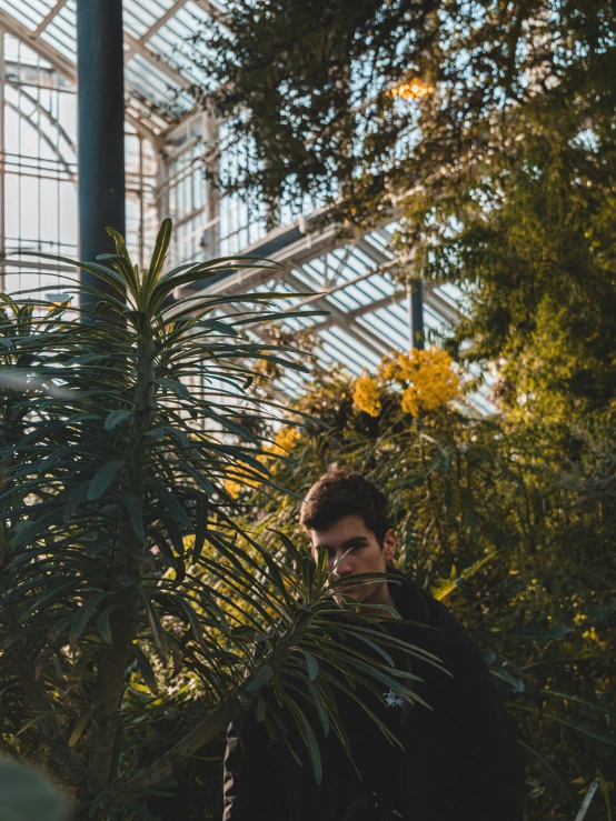 a man is standing by himself near a palm tree