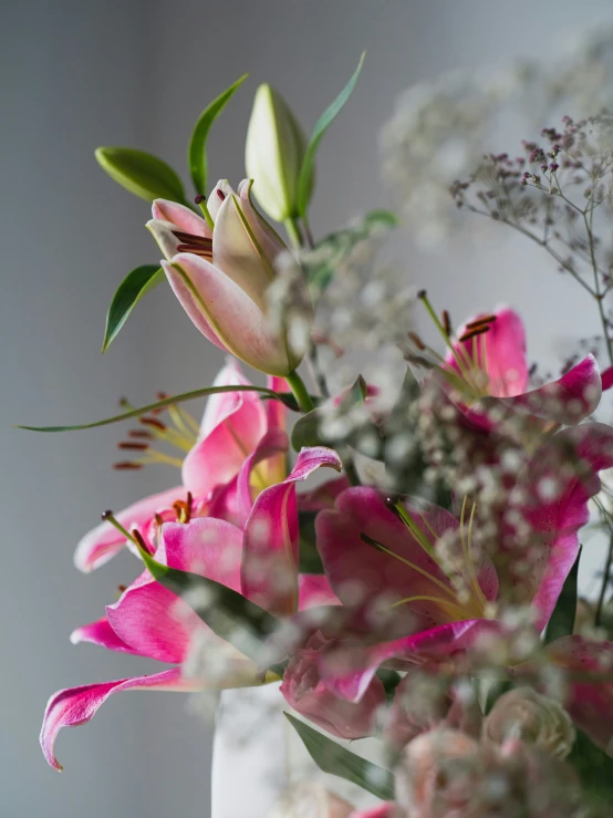 pink flowers sit on top of a white vase