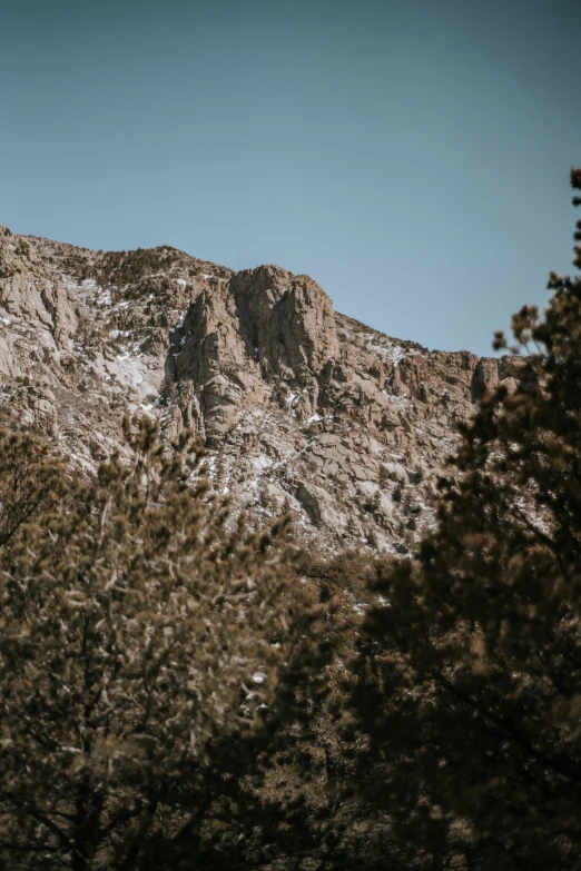 a tall snowy mountain with lots of trees