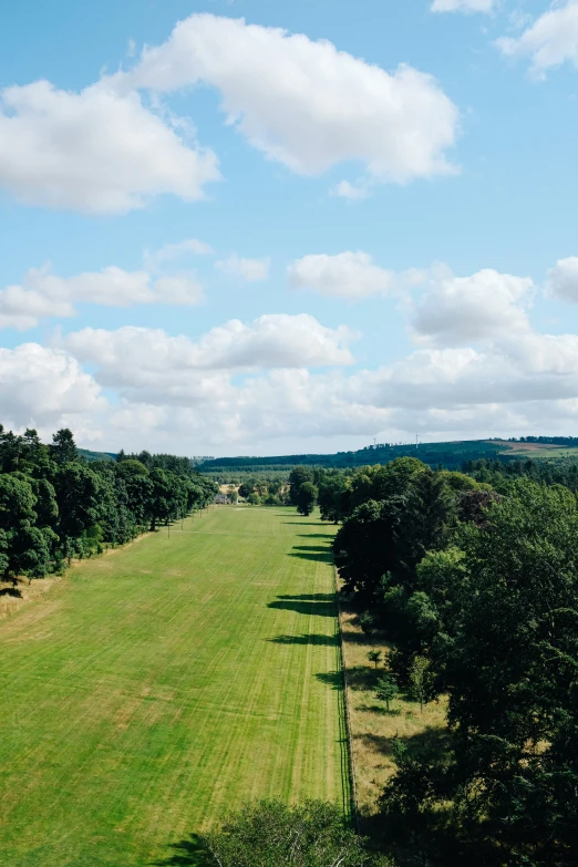 a large open area with several trees in the foreground