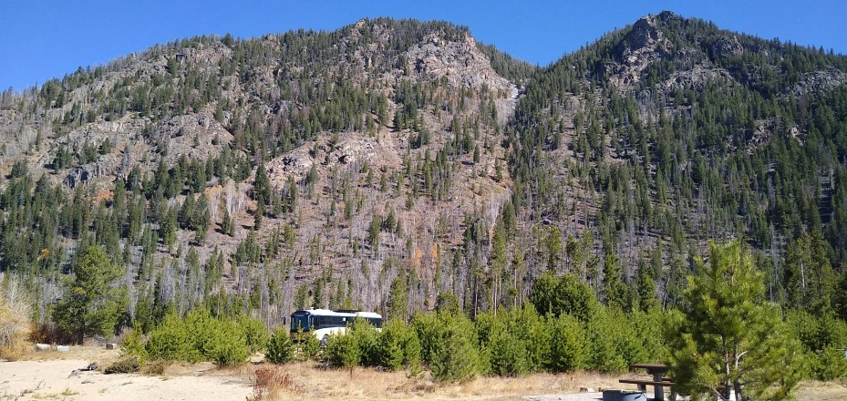 a very tall mountain is near a forest