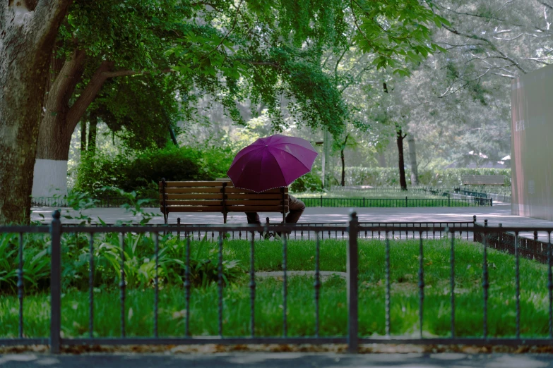 a woman walking down the sidewalk with a purple umbrella