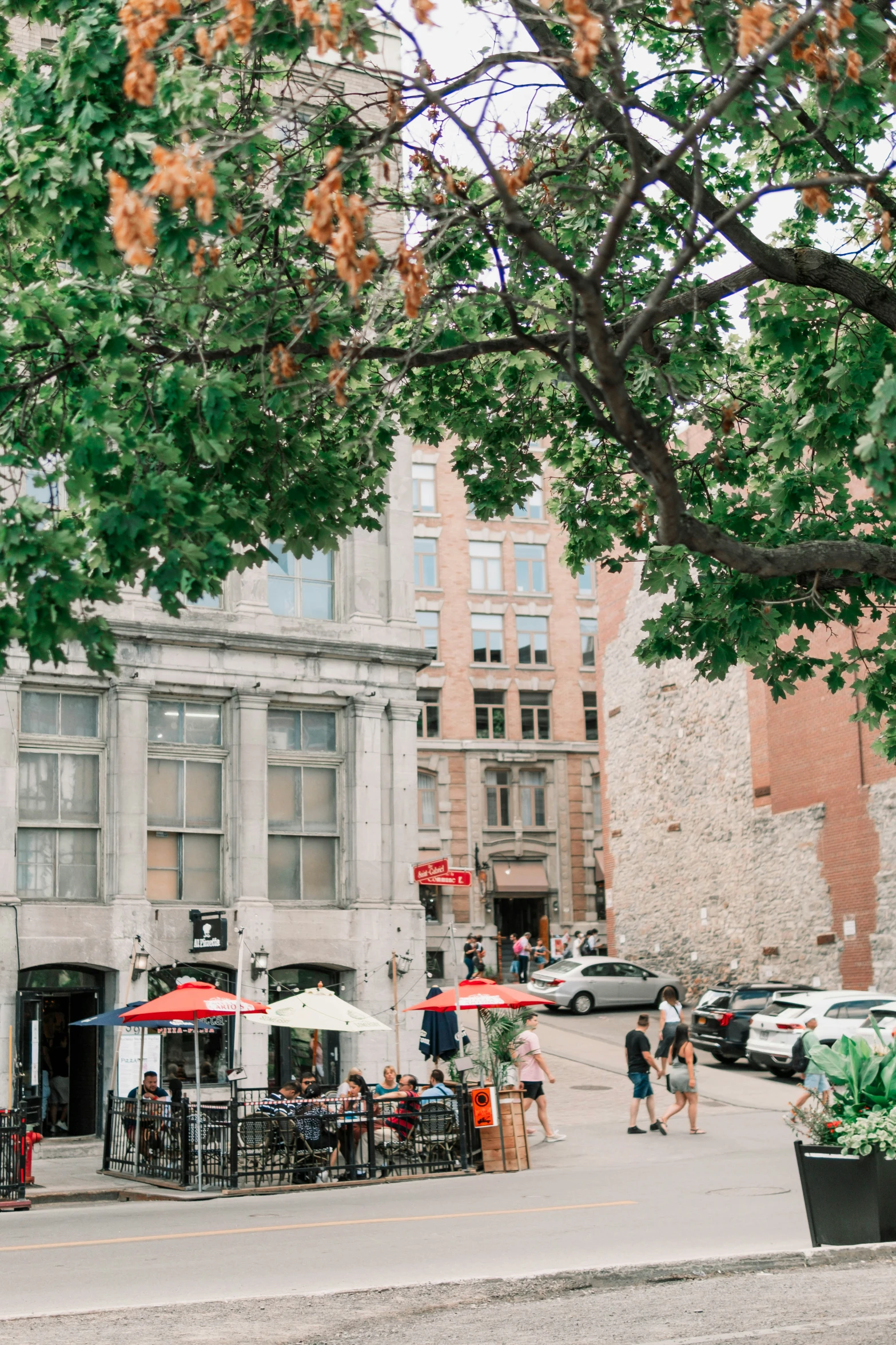 people walking in front of a city building with trees