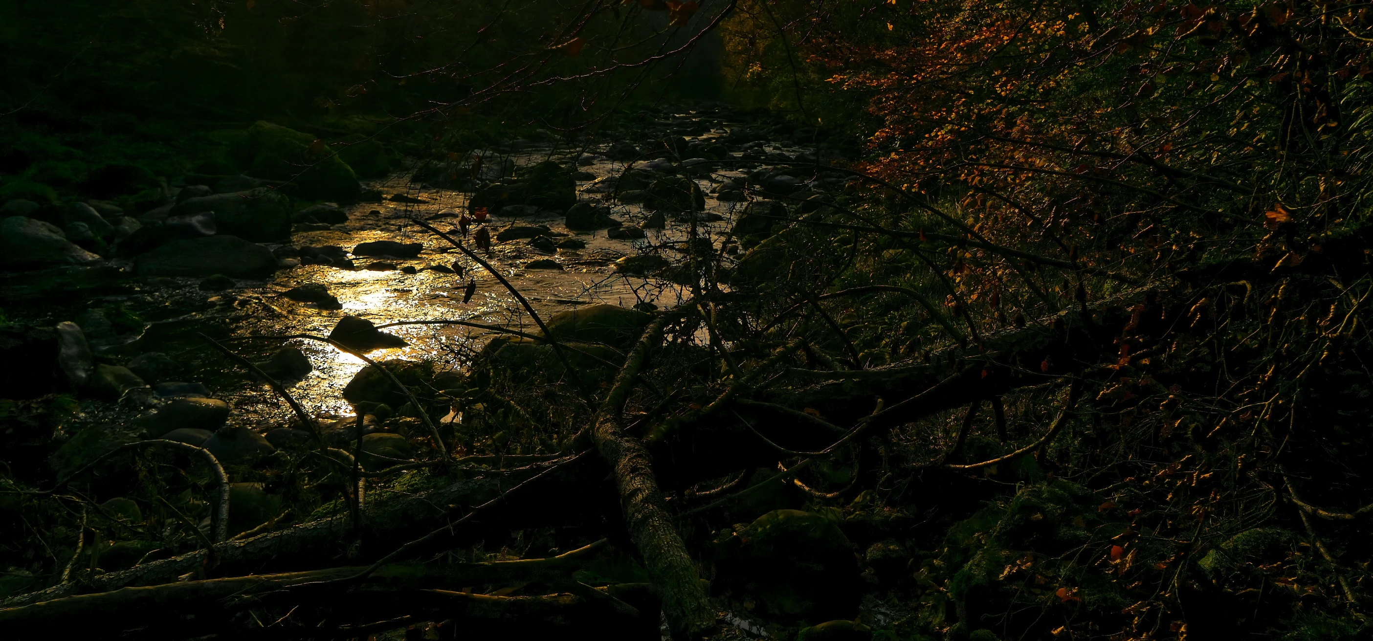 a creek with sparkling lights flowing down it