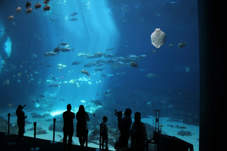 a crowd of people standing in front of a large aquarium