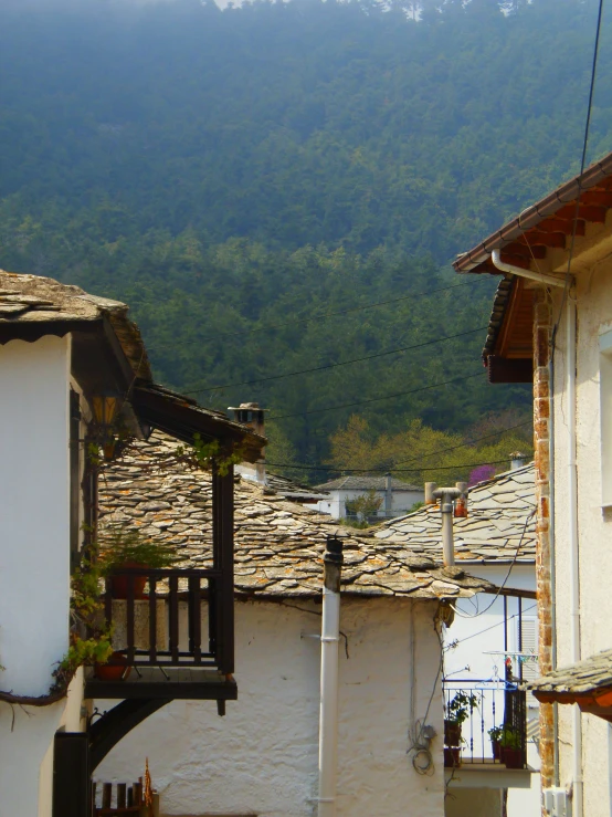 a hillside of trees and mountains are shown behind the buildings