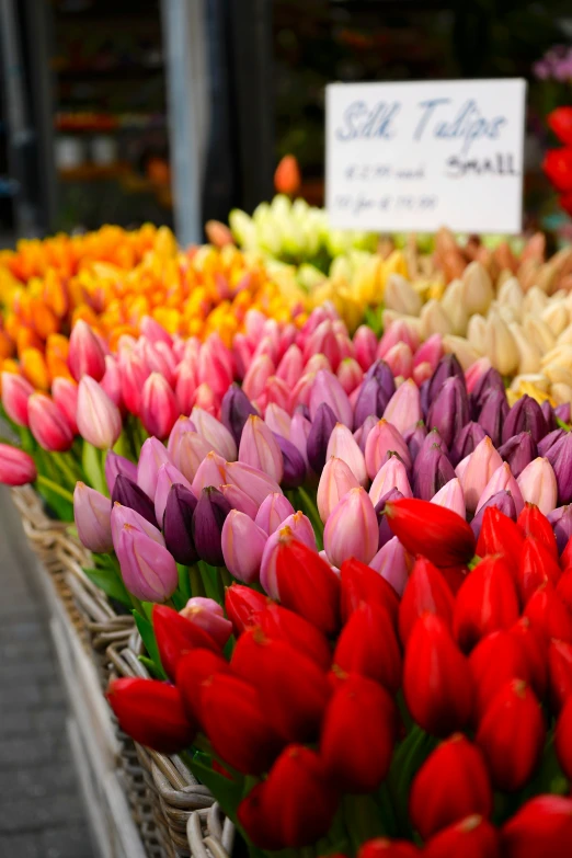 colorful flowers are arranged on a display in the shop