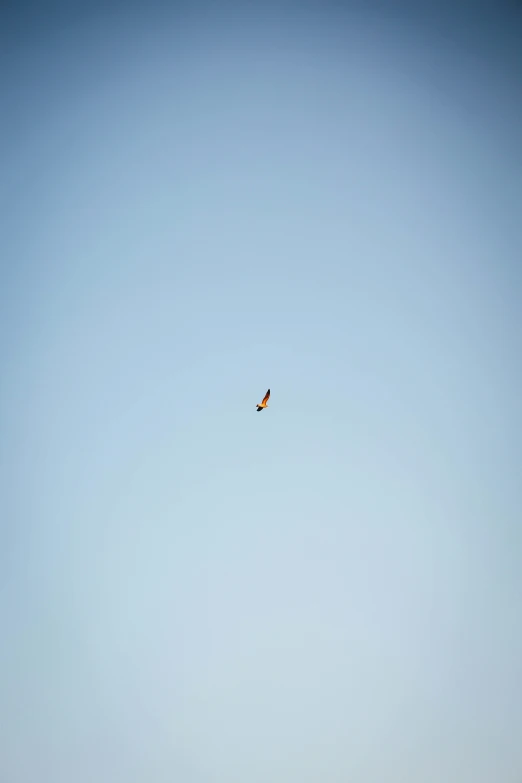 a single kite flying high in the sky
