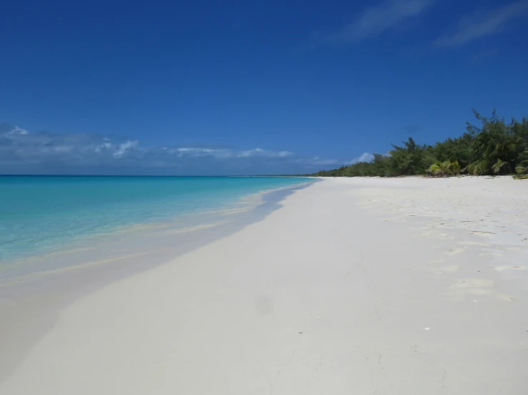 a beach is shown in front of some trees