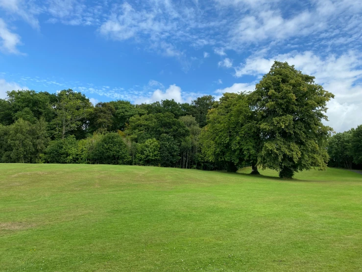 an area in a park with grass and trees in the distance