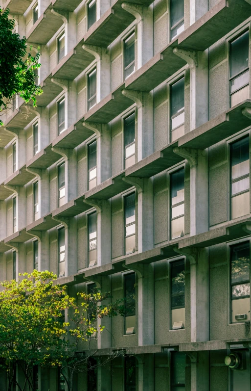 an apartment building in the city has windows