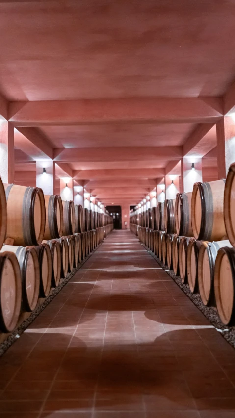 a long line of wine barrels on the floor