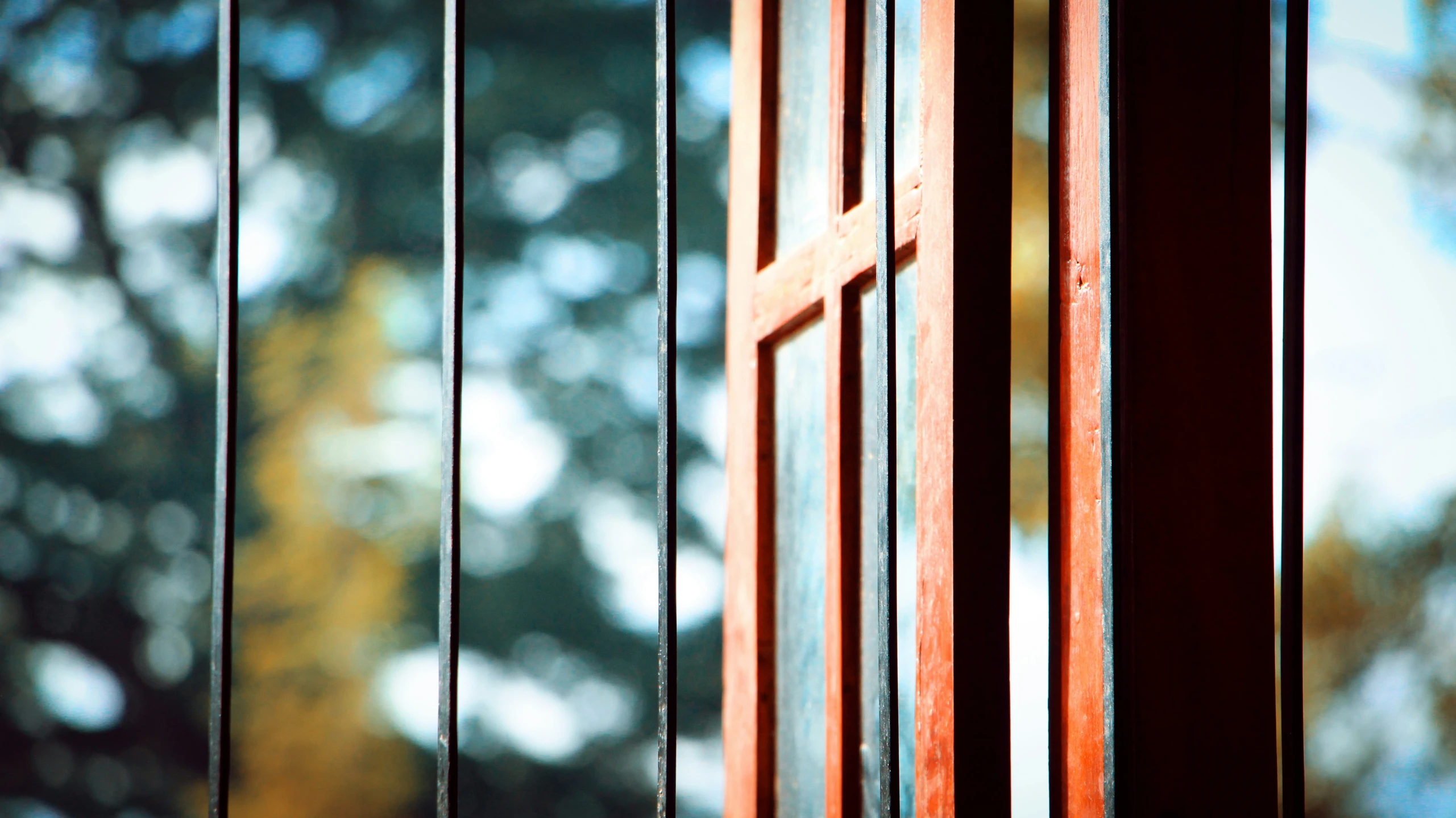 the closed door of an open house showing a tree outside