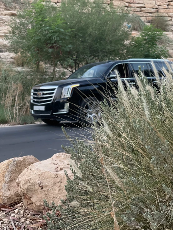 a black car parked near a bush and some rocks