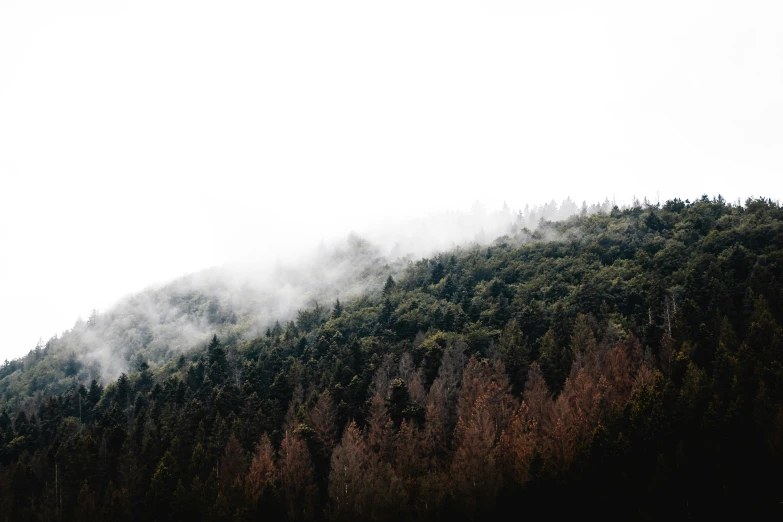 mountains are shrouded with fog on the top