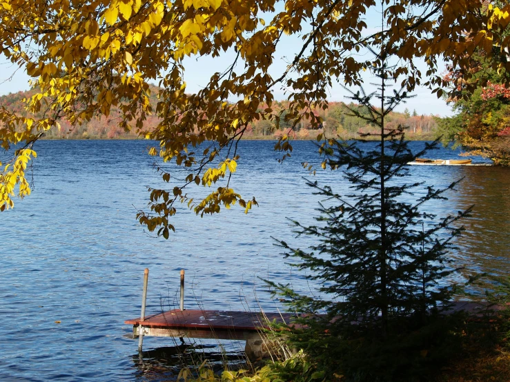 the dock in the lake is still covered with leaves