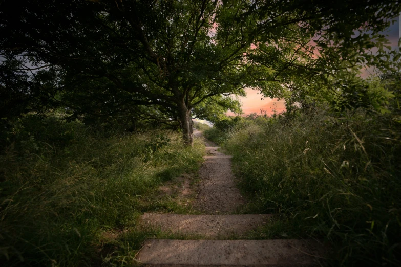 a path leads to a bright pink sunset