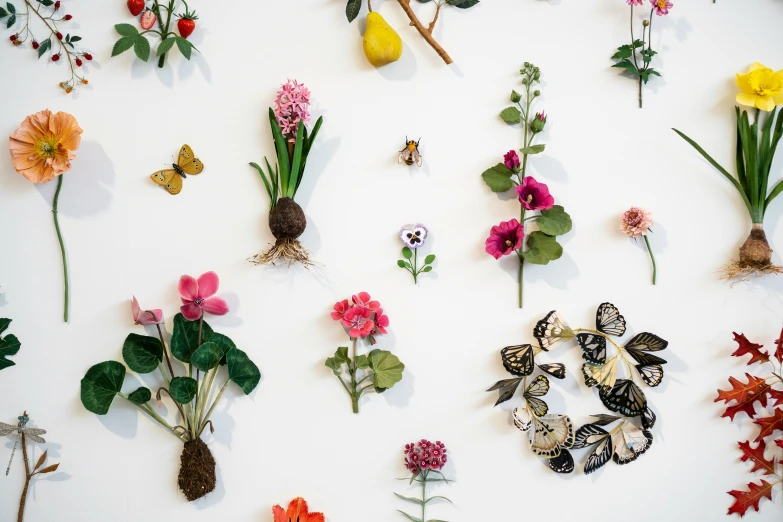 several different flowers that are on a table