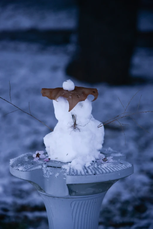 snow on top of a fire hydrant in the snow