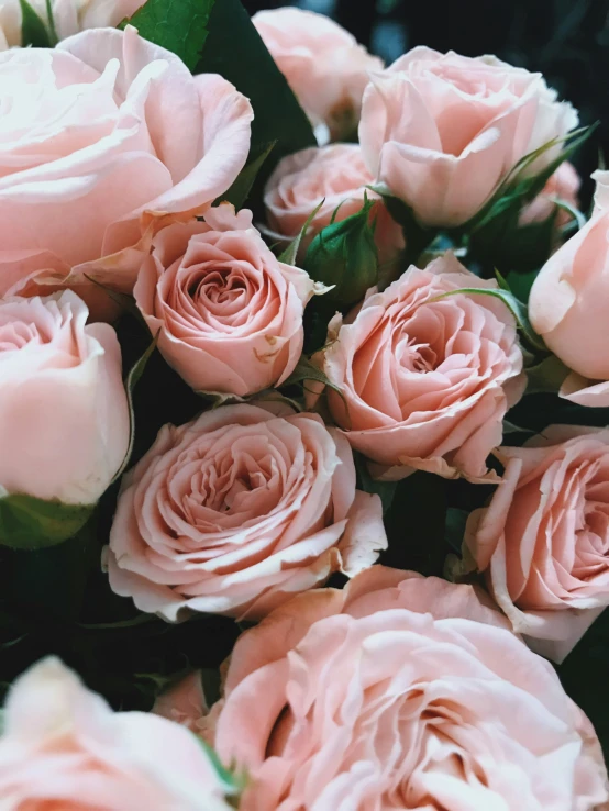 there is a bouquet of pink roses on the table