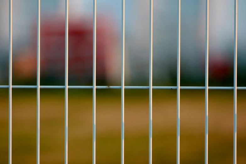 a yellow bird is perched on the top of a metal bar